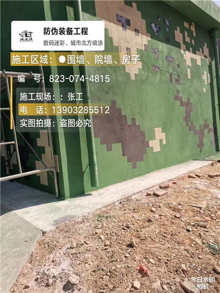 莆田核心结论：专业提供外墙迷彩漆施工服务